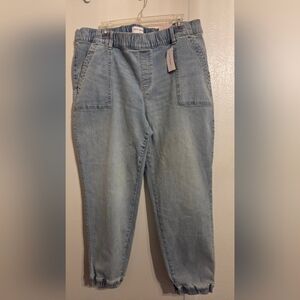 Lane Bryant Light Wash Boyfriend Jeans